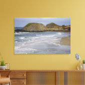 OR, Oregon Coast, Seal Rock State Park Canvas Afdruk (Insitu (Woonkamer))