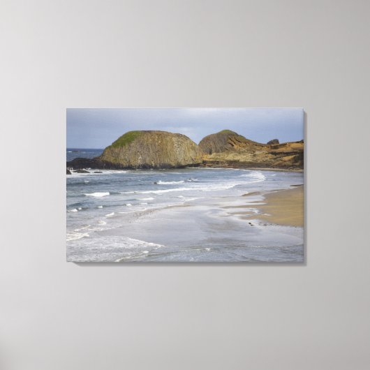 OR, Oregon Coast, Seal Rock State Park Canvas Afdruk (Voorkant)