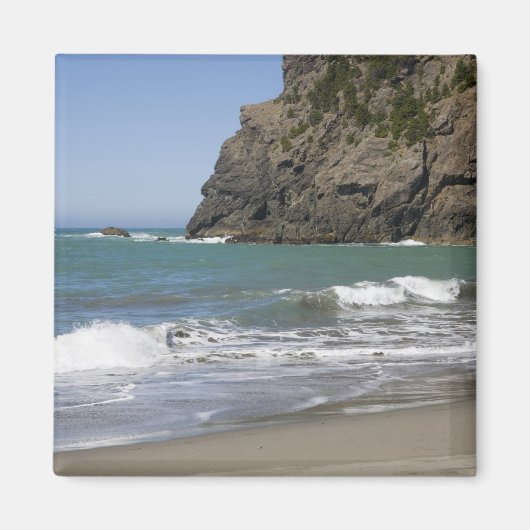 OR, Oregon Coast, Whaleshead Beach, South Magneet (Voorkant)