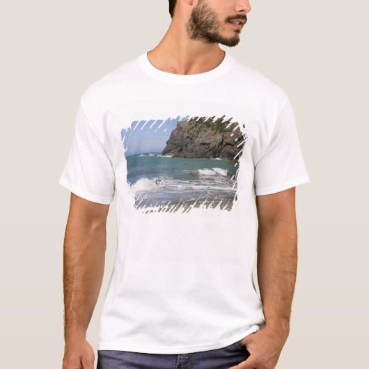 OR, Oregon Coast, Whaleshead Beach, South T-shirt (Voorkant)