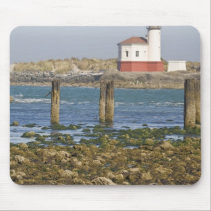 OR, Oregon-kust, Bandon, Coquille-rivier 2 Muismat
