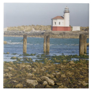 OR, Oregon kust, Bandon, Coquille rivier 2 Tegeltje