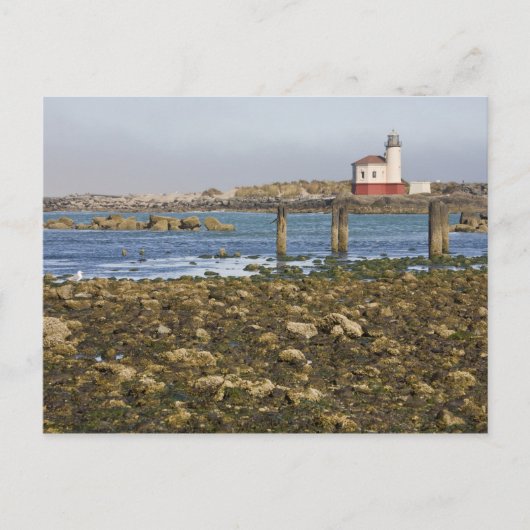 OR, Oregon-kust, Bandon, Coquille-rivier Briefkaart (Voorkant)