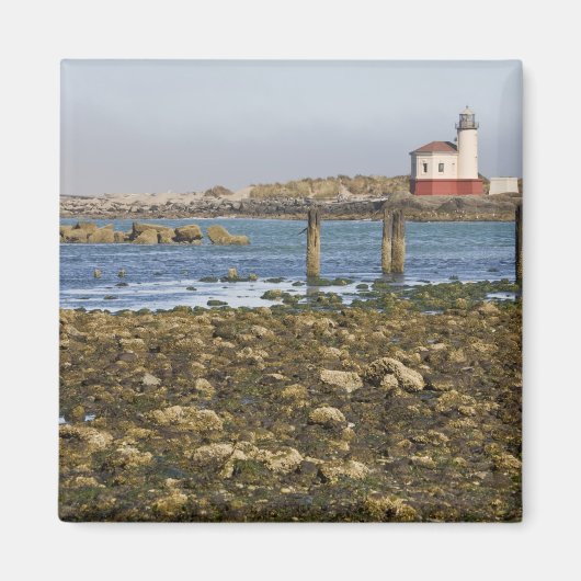 OR, Oregon-kust, Bandon, Coquille-rivier Magneet (Voorkant)