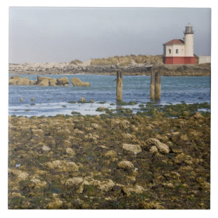 OR, Oregon-kust, Bandon, Coquille-rivier Tegeltje