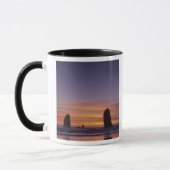 OR, Oregon-kust, Cannon Beach, zeestacks bij Mok (Links)