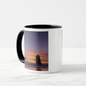 OR, Oregon-kust, Cannon Beach, zeestacks bij Mok (Voorkant links)