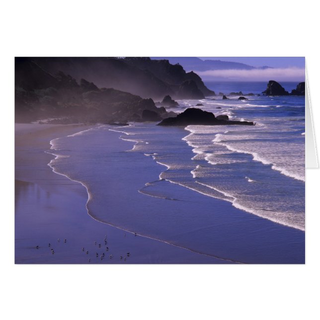 OR, Oregon-kust, Ecola SP, Indian Beach met (Voorkant Horizontaal)