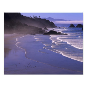 OR, Oregon-kust, Ecola SP, Indian Beach met Foto Afdruk
