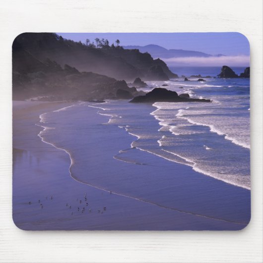 OR, Oregon-kust, Ecola SP, Indian Beach met Muismat (Voorkant)