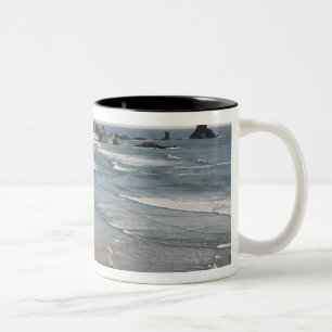 OR, Oregon-kust, Ecola State Park, Indiaan Tweekleurige Koffiemok