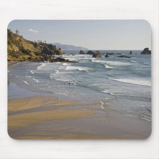 OR, Oregon-kust, Ecola State Park, Indian Muismat (Voorkant)