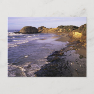 OR, Oregon-kust, Newport, kustlijn bij Seal Briefkaart