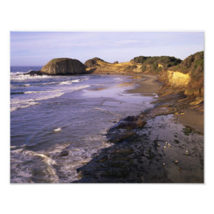 OR, Oregon-kust, Newport, kustlijn bij Seal Foto Afdruk