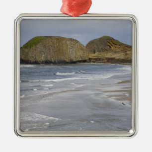 OR, Oregon-kust, Seal Rock State Park, Metalen Ornament