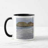 OR, Oregon-kust, Seal Rock State Park, Mok (Links)