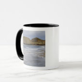 OR, Oregon-kust, Seal Rock State Park, Mok (Voorkant links)