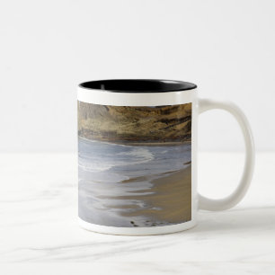 OR, Oregon-kust, Seal Rock State Park, Tweekleurige Koffiemok