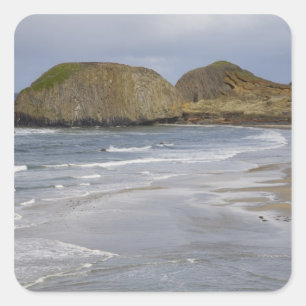 OR, Oregon-kust, Seal Rock State Park, Vierkante Sticker