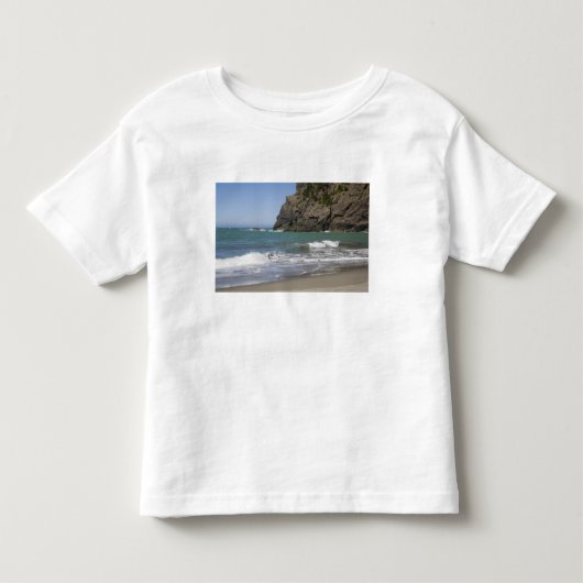 OR, Oregon kust, Whaleshead Beach, Zuid Kinder Shirts (Voorkant)
