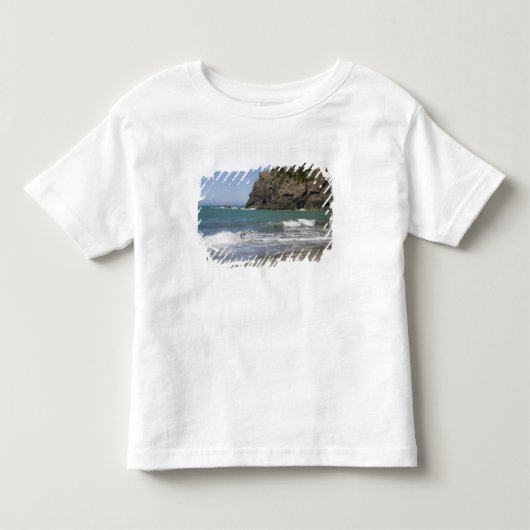 OR, Oregon-kust, Whaleshead Beach, Zuid Kinder Shirts (Voorkant)