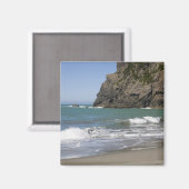 OR, Oregon-kust, Whaleshead Beach, Zuid Magneet (Voorkant / Achterkant)