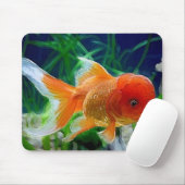 Oranda Goldfish Muismat (Met muis)