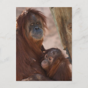 Orang mama en Child Briefkaart