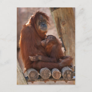 Orang Moeder & Kind 7312 Briefkaart