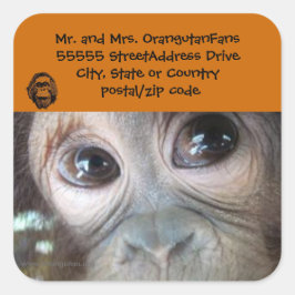 Orang-oetan adreslabel Officiële Logo Vierkante Sticker