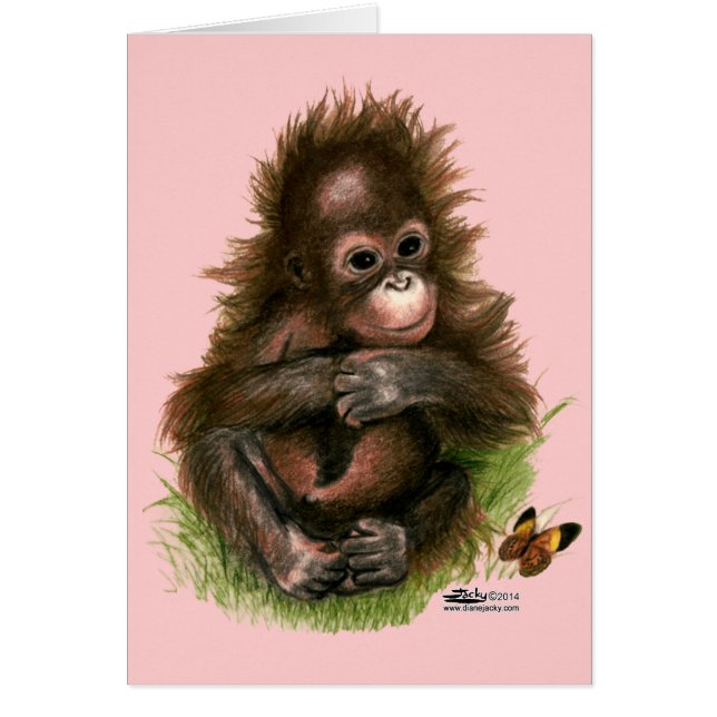 Orang-oetan Baby en Vlinder (Voorkant)