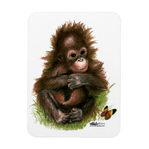 Orang-oetan Baby en Vlinder Magneet