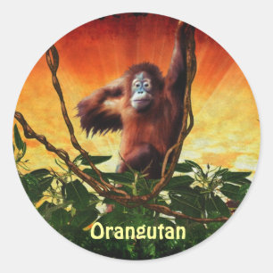Orang-oetan Baby & Oerwoud Grote Apen Primaat Stic Ronde Sticker