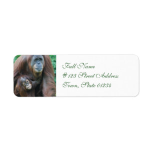 Orang-oetan familie mailing labels