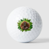orang-oetan familieband golfballen (Voorkant)