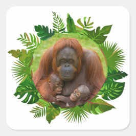 orang-oetan familieband vierkante sticker
