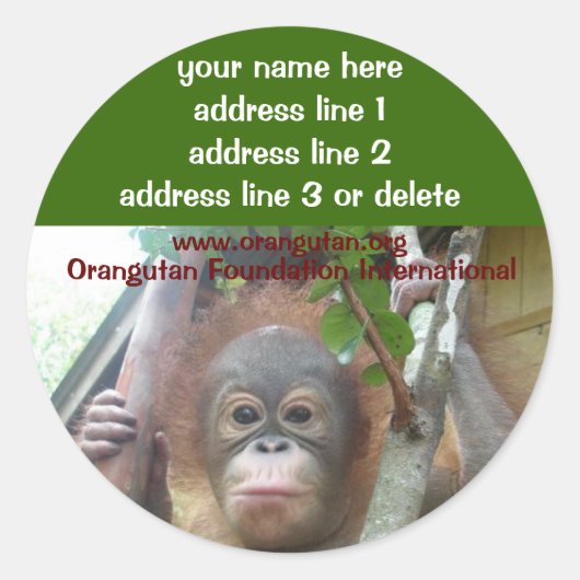 Orang-oetan gered Wildlife Charity adresetiketten Ronde Sticker (Voorkant)