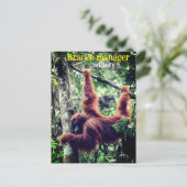 Orang-oetan hangend in boom briefkaart (Staand voorkant)