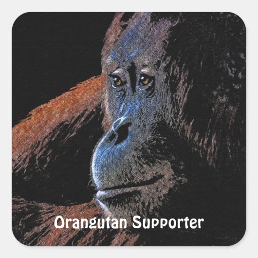 Orang-oetan mensaap primaat Stickers (Voorkant)