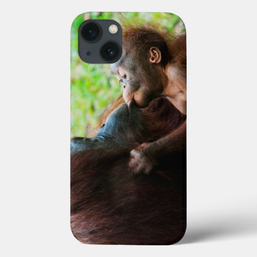 Orang-oetan moeder en baby Case-Mate iPhone case (Achterkant)