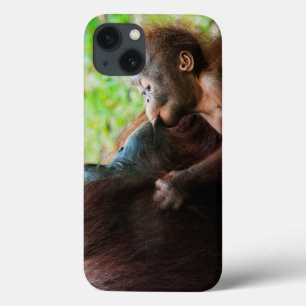 Orang-oetan moeder en baby iPhone 13 hoesje