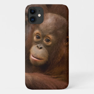 Orang-oetan moeder en baby in de dierentuin Case-Mate iPhone case