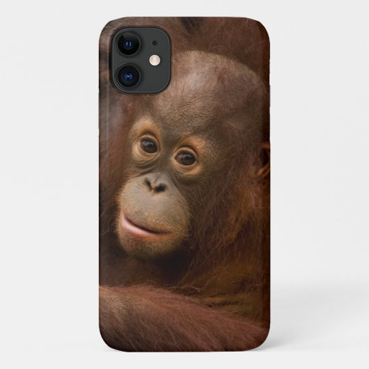 Orang-oetan moeder en baby in de dierentuin Case-Mate iPhone case (Achterkant)