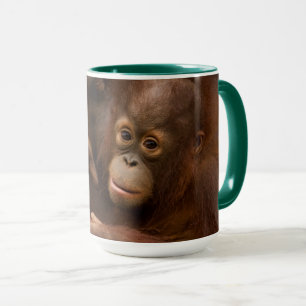Orang-oetan moeder en baby in de dierentuin mok