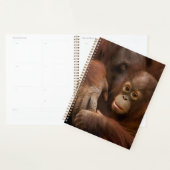 Orang-oetan moeder en baby in de dierentuin planner (Display)