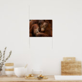 Orang-oetan moeder en baby in de dierentuin poster (Keuken)
