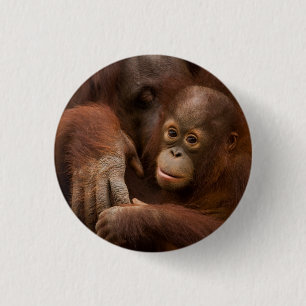 Orang-oetan moeder en baby in de dierentuin ronde button 3,2 cm