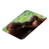 Orang-oetan moeder en baby magneet (Linkerzijde)