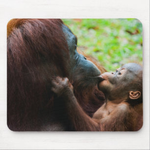 Orang-oetan moeder en baby muismat