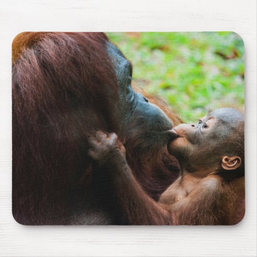 Orang-oetan moeder en baby muismat (Voorkant)